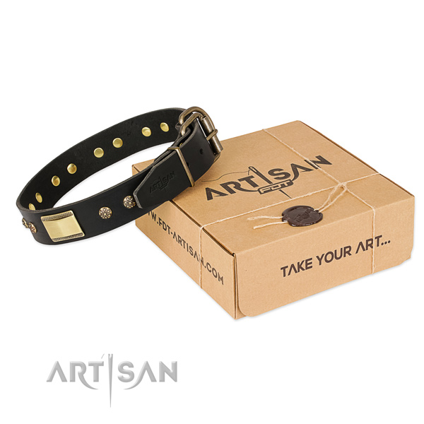 Designer natural leather collar for your impressive canine