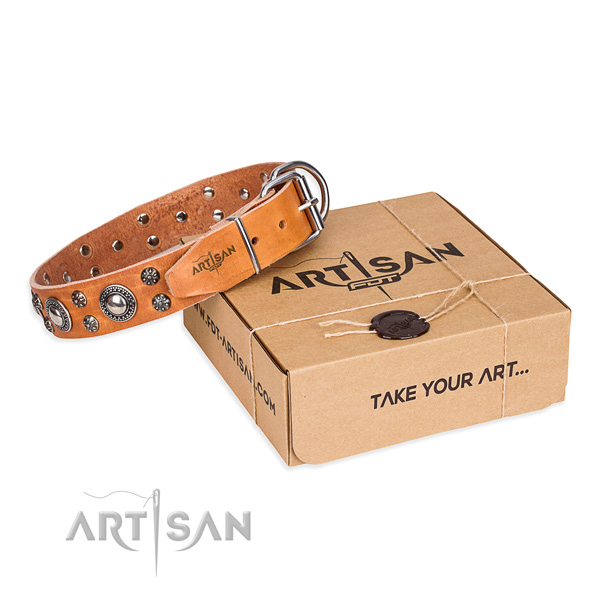 Daily use dog collar of top notch full grain natural leather with adornments