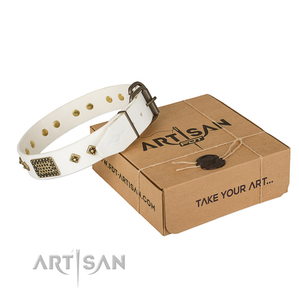 Designer genuine leather collar for your attractive pet