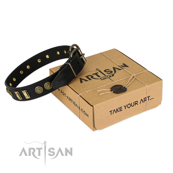 Durable embellishments on full grain leather dog collar for your dog