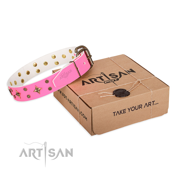 Everyday walking dog collar of durable full grain leather with decorations