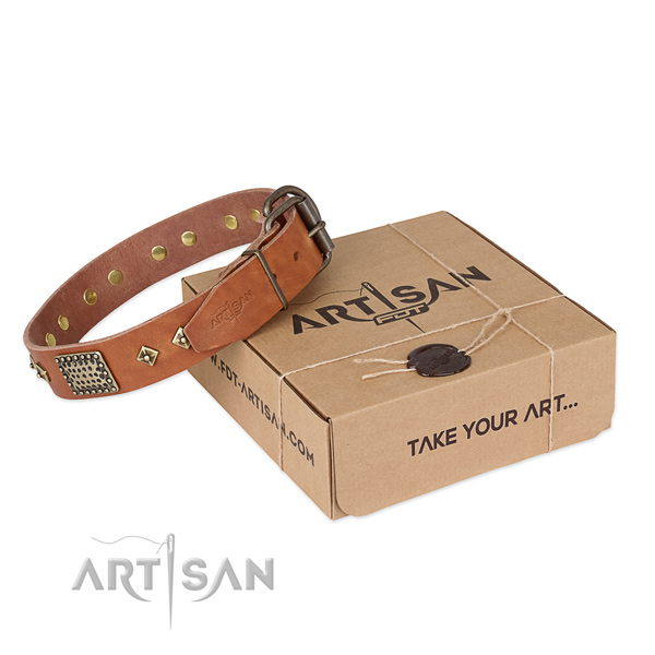 Top notch natural leather collar for your handsome four-legged friend