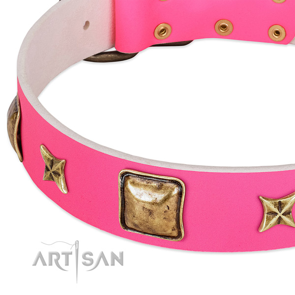 Leather dog collar with impressive adornments