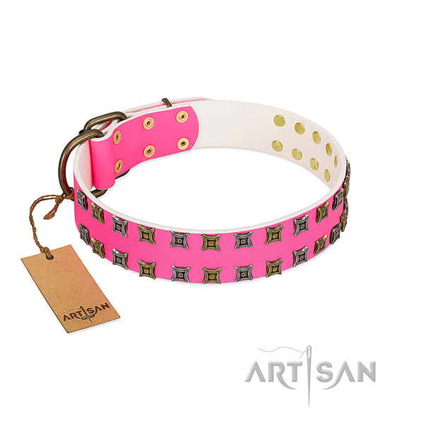 Full grain genuine leather collar with awesome embellishments for your doggie