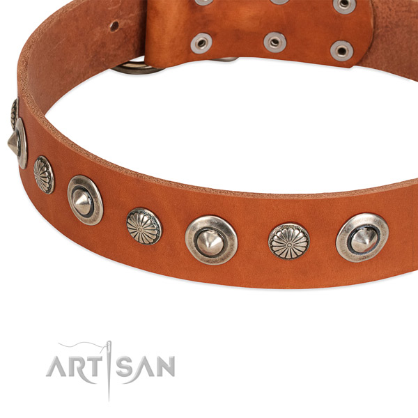 Full grain natural leather collar with rust resistant fittings for your handsome pet