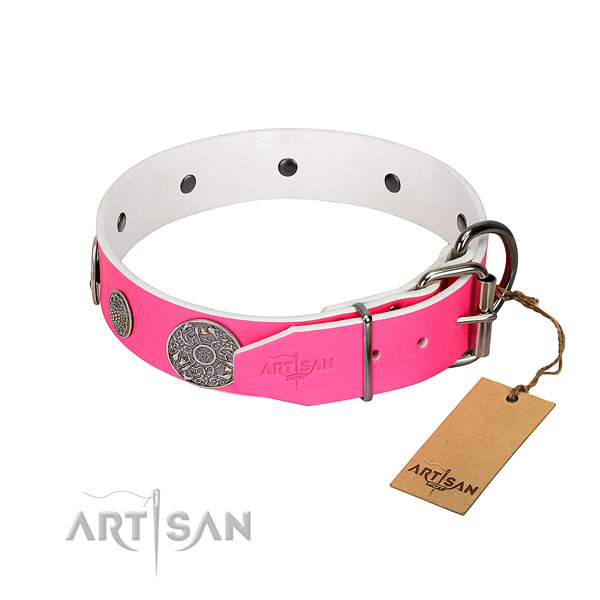 Trendy genuine leather collar for your handsome pet