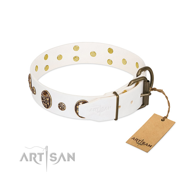 Rust resistant traditional buckle on full grain natural leather dog collar for your pet