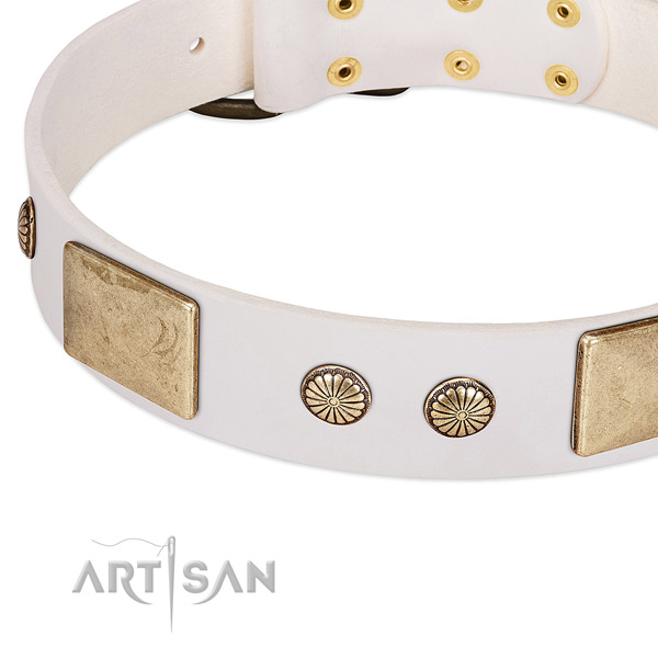 Reliable adornments on full grain natural leather dog collar for your doggie
