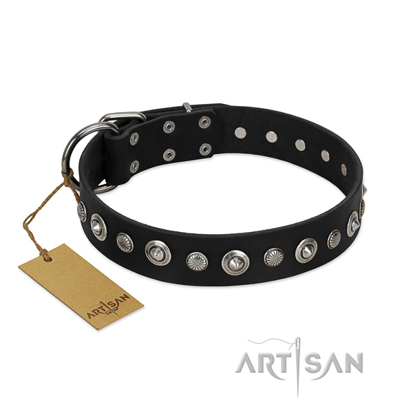 Best quality leather dog collar with awesome studs