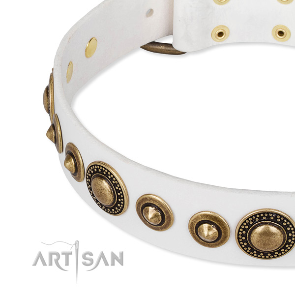 Top notch full grain genuine leather dog collar made for your lovely doggie