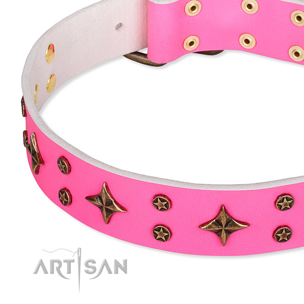 Stylish walking studded dog collar of strong full grain genuine leather