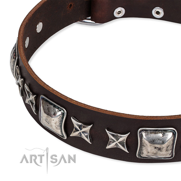 Daily walking studded dog collar of reliable full grain genuine leather