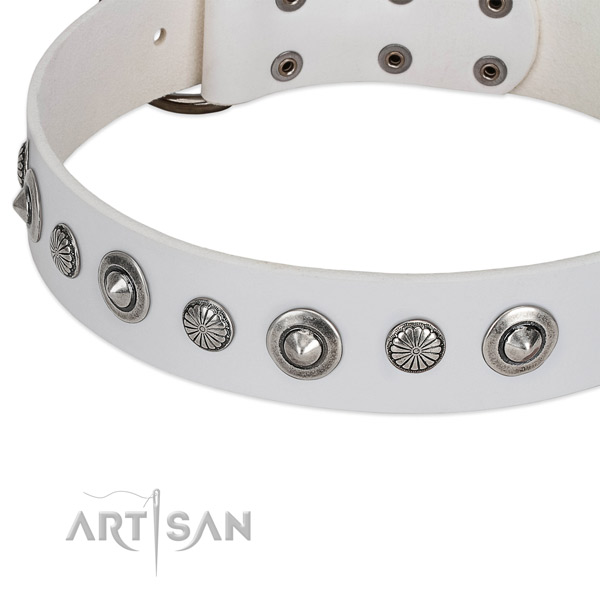 Full grain genuine leather collar with strong buckle for your handsome dog