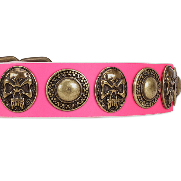 Corrosion resistant adornments on full grain leather dog collar for your canine
