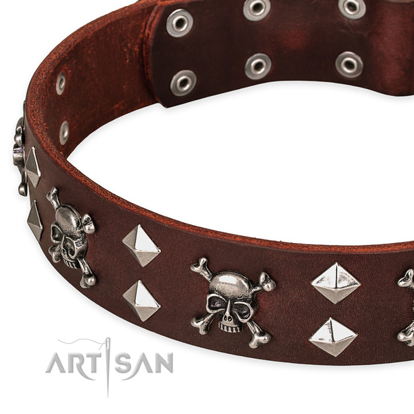 Stylish walking embellished dog collar of top notch full grain natural leather