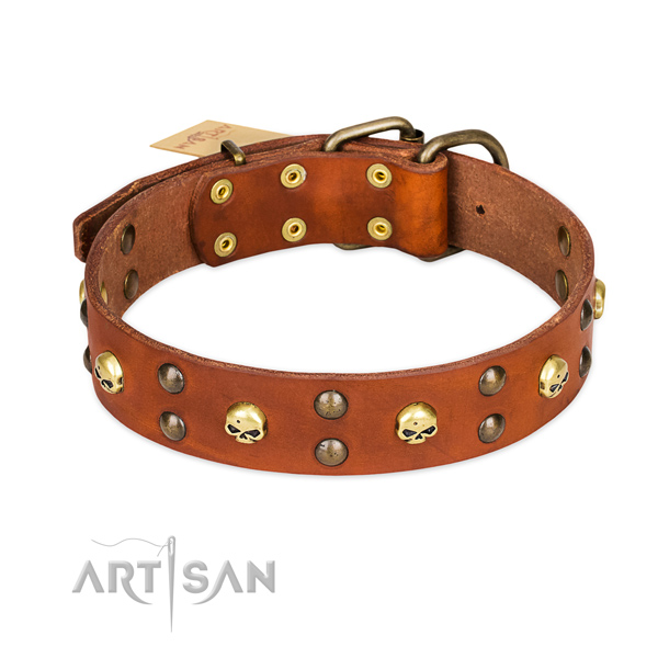 Easy wearing dog collar of top notch natural leather with adornments