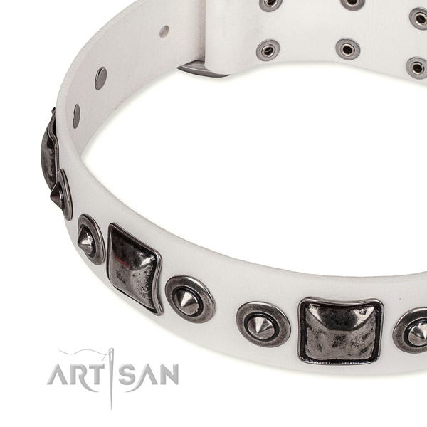 Durable genuine leather dog collar handcrafted for your impressive four-legged friend