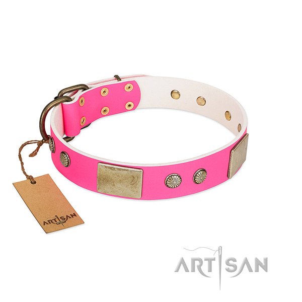 Easy to adjust full grain leather dog collar for walking your canine