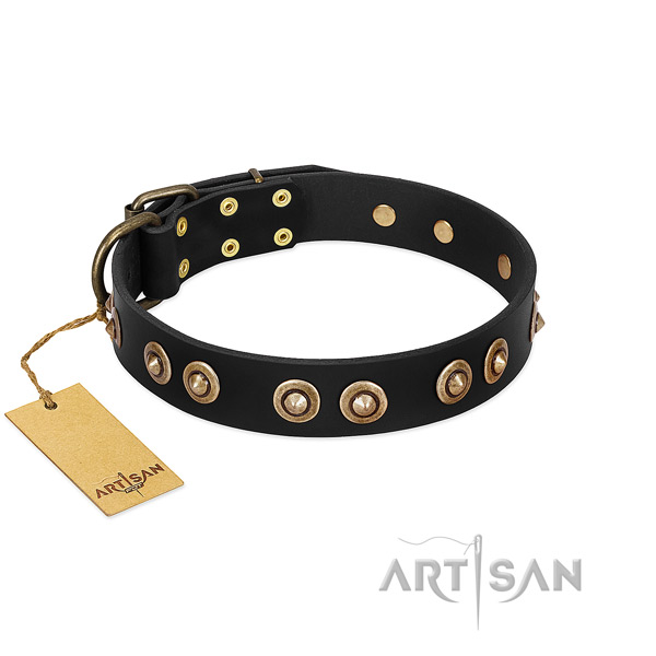 Reliable D-ring on natural genuine leather dog collar for your canine