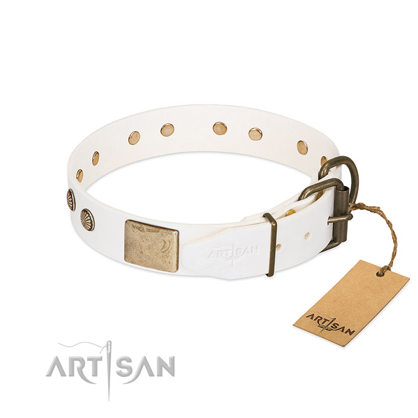 Reliable traditional buckle on comfy wearing dog collar