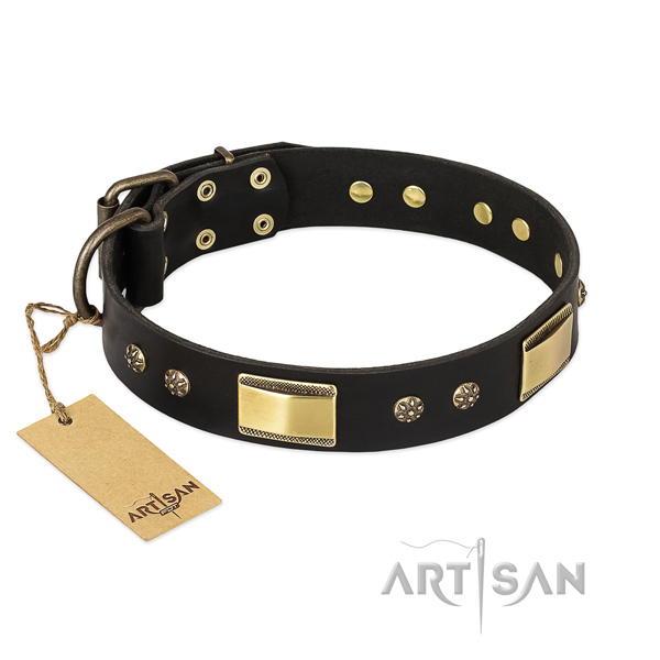 Adorned genuine leather dog collar for daily use