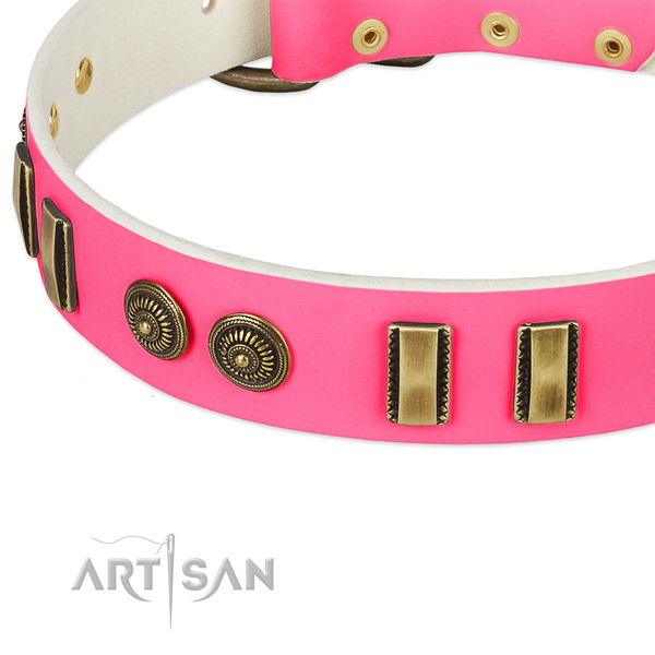 Corrosion proof buckle on natural leather dog collar for your four-legged friend