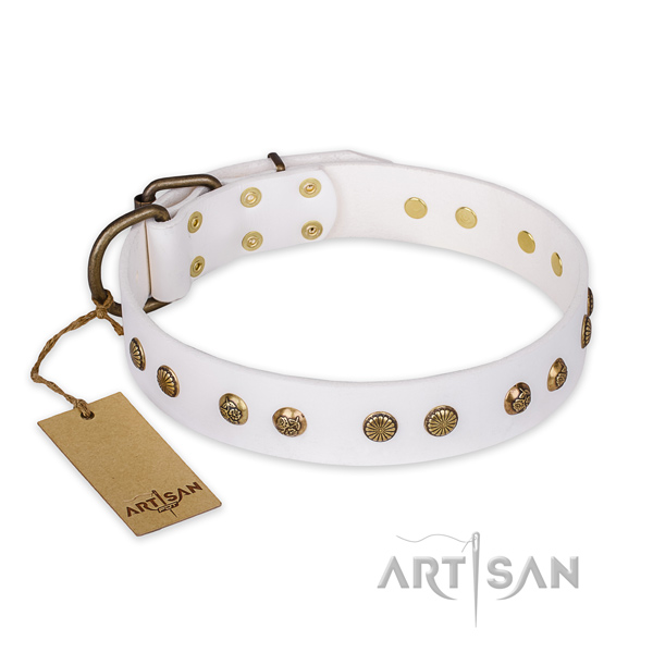 Easy to adjust full grain natural leather dog collar with corrosion proof hardware