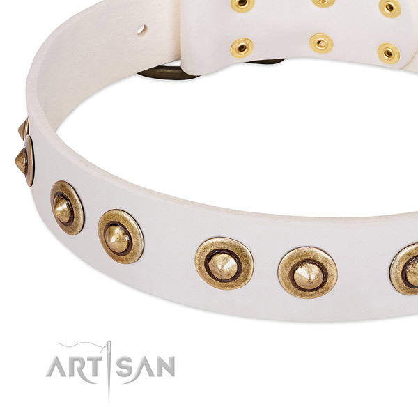 Rust-proof buckle on leather dog collar for your doggie