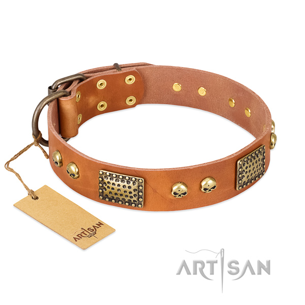 Easy adjustable leather dog collar for basic training your doggie