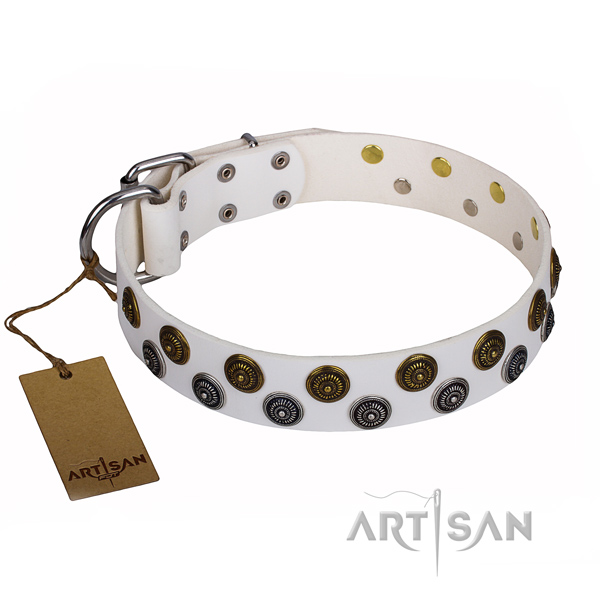Comfortable wearing dog collar of top notch genuine leather with adornments