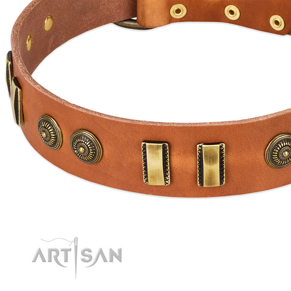 Corrosion resistant decorations on full grain natural leather dog collar for your dog