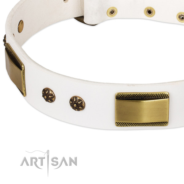 Corrosion resistant traditional buckle on full grain genuine leather dog collar for your canine