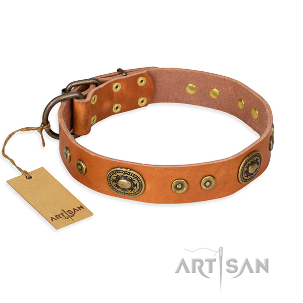 Full grain genuine leather dog collar made of reliable material with corrosion proof traditional buckle