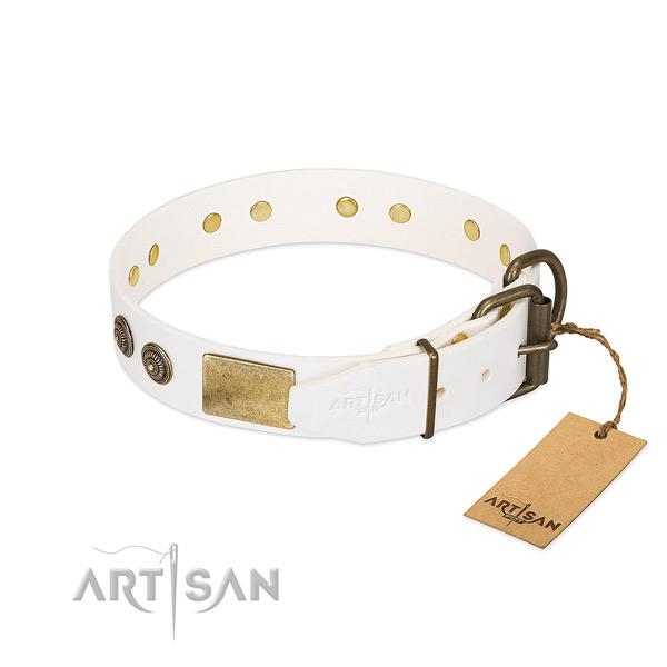 Rust resistant buckle on full grain leather collar for walking your pet