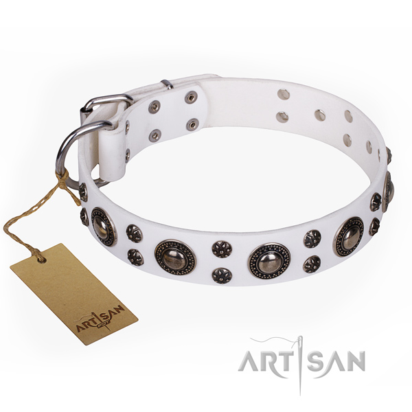 Walking dog collar of fine quality full grain leather with decorations