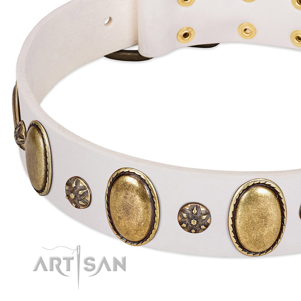 Daily use top notch leather dog collar with decorations