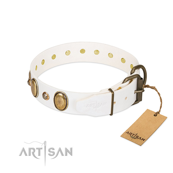 Everyday use leather dog collar