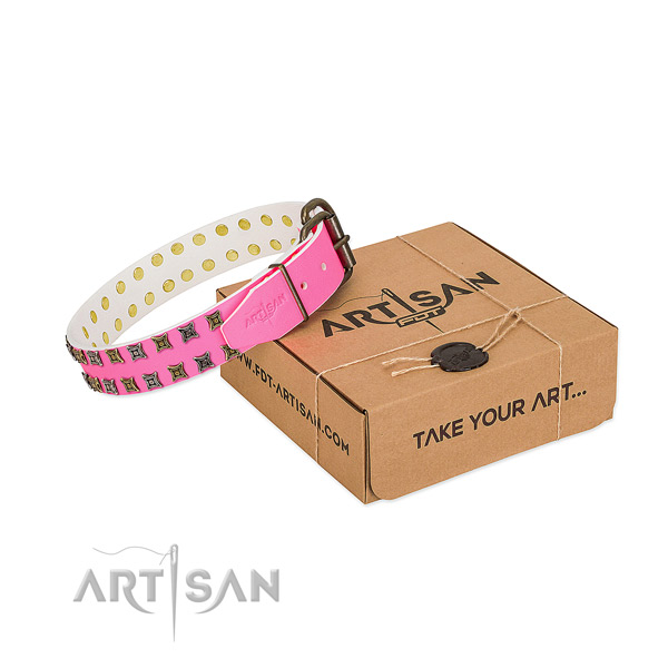 Full grain natural leather collar with unusual embellishments for your four-legged friend