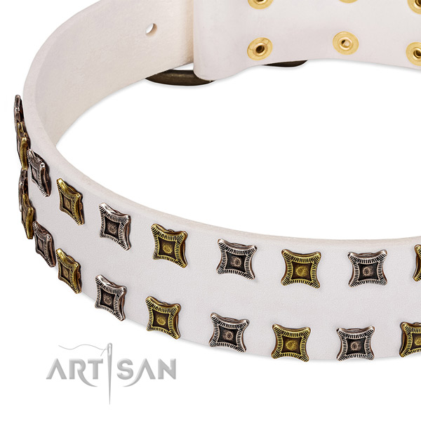 Full grain genuine leather dog collar with embellishments for your beautiful dog