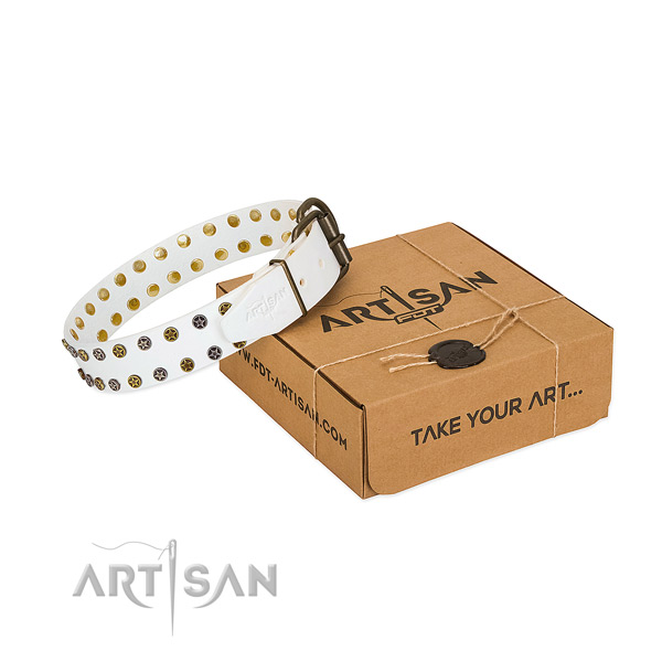 Significant natural leather dog collar with durable adornments