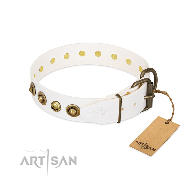 Genuine leather collar with incredible studs for your canine