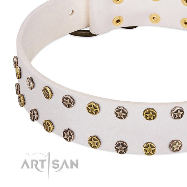 Remarkable embellishments on genuine leather collar for your canine