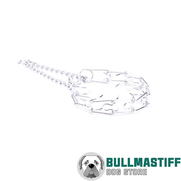 Chrome plated steel dog pinch collar for disobedient pets