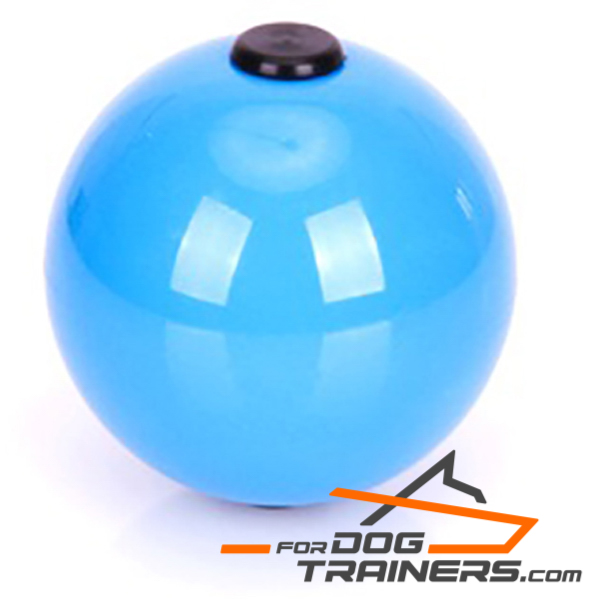 Fun dog ball for Training