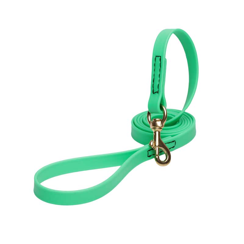 Green Waterproof Bullmastiff Leash Made of Biothane