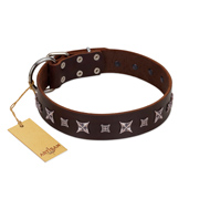 "Stellar Fairy " FDT Artisan Brown Leather Bullmastiff Collar with Chrome-plated Star-like Decorations