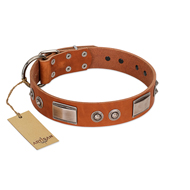 "Pawsy Glossy" FDT Artisan Exclusive Tan Leather Bullmastiff Collar 1 1/2 inch (40 mm) wide