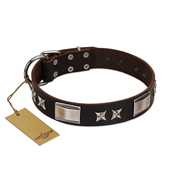 "Satin Beauts" FDT Artisan Brown Leather Bullmastiff Collar with Stars and Plates