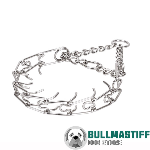 Reliable pinch collar with stainless steel O-ring for leash attachment