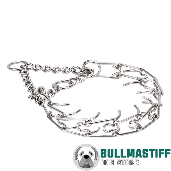 Corrosion resistant stainless steel pinch collar for badly behaved dogs